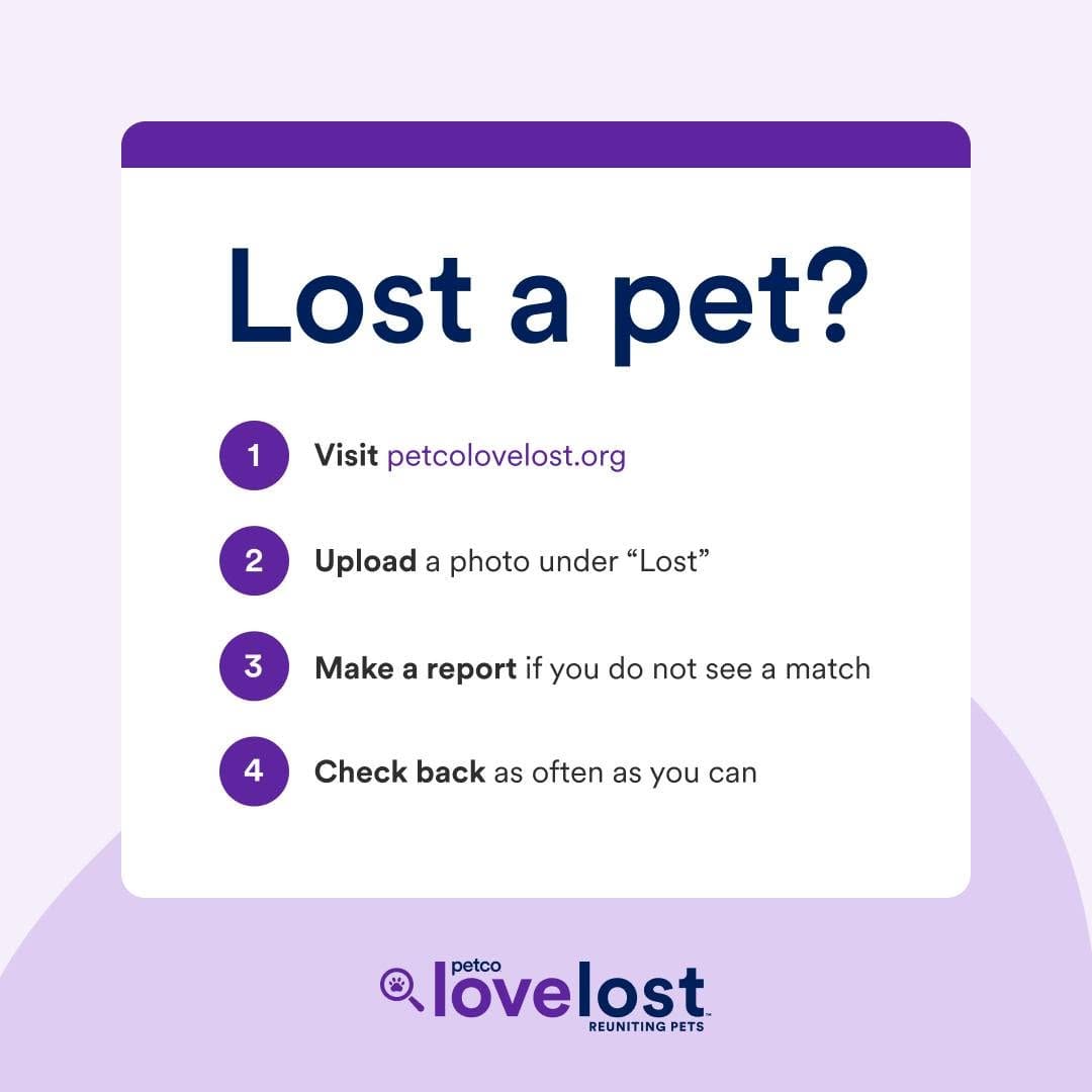 Post 2 by RivCo Shelter Pets on Instagram (image)