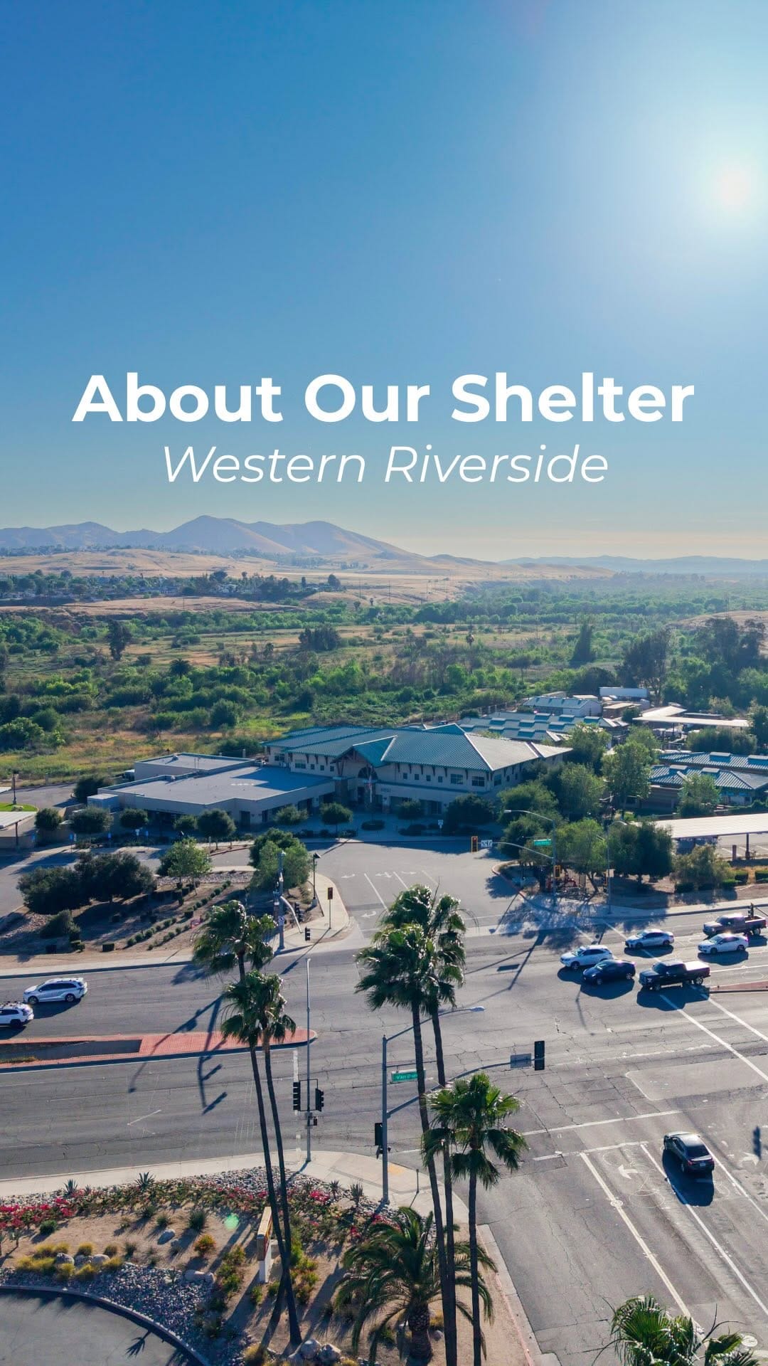 Post 10 by RivCo Shelter Pets on Instagram (video)