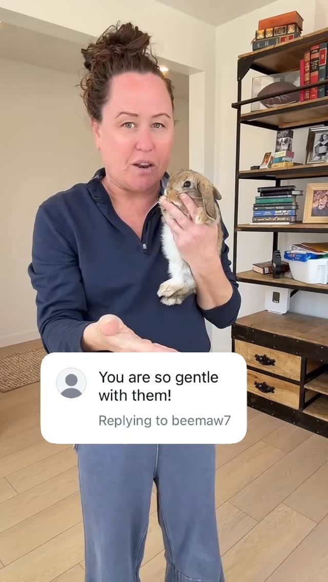 Post 1 by Rabbit Pals on Instagram (video)