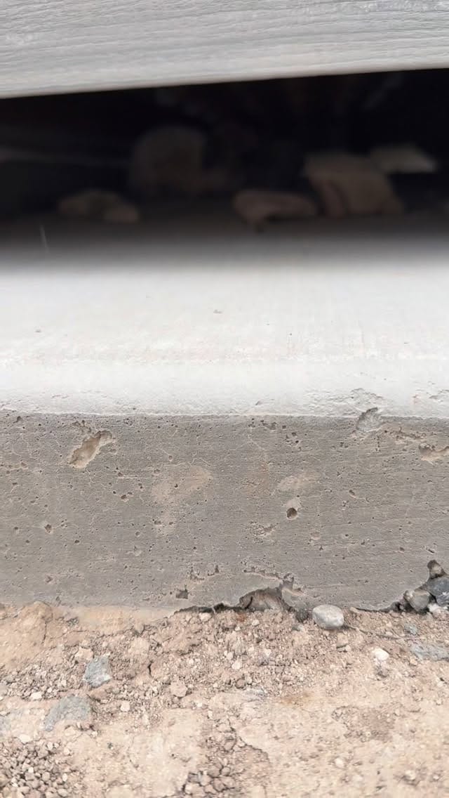 Post 8 by Rabbit Pals on Instagram (video)
