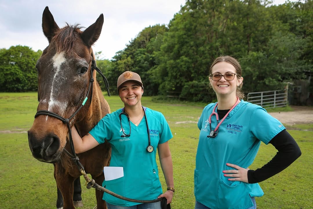 Post 6 by MDC Medical Campus on Instagram (carousel)