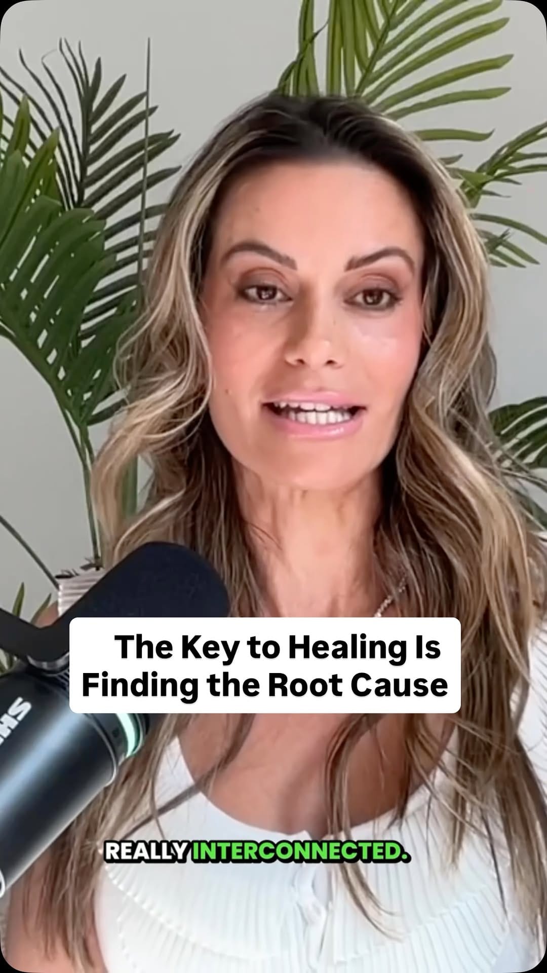 Post 4 by Sara Firouz on Instagram (video)