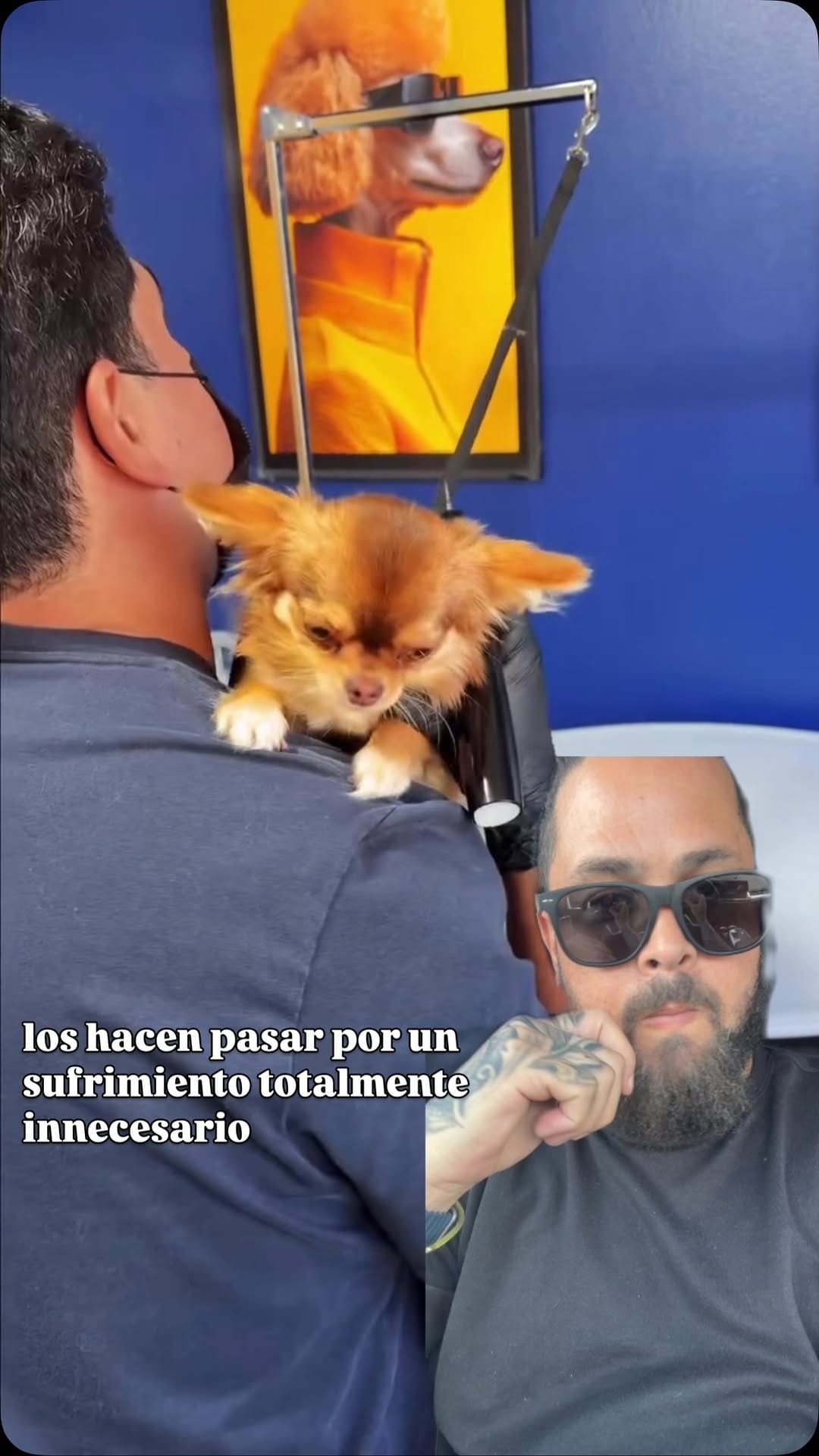 Post 7 by Jay Batista on Instagram (video)