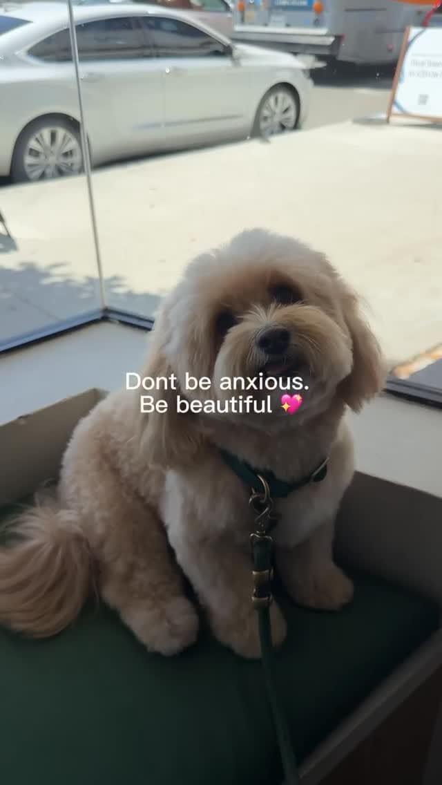 Post 4 by Bowie Barker on Instagram (video)