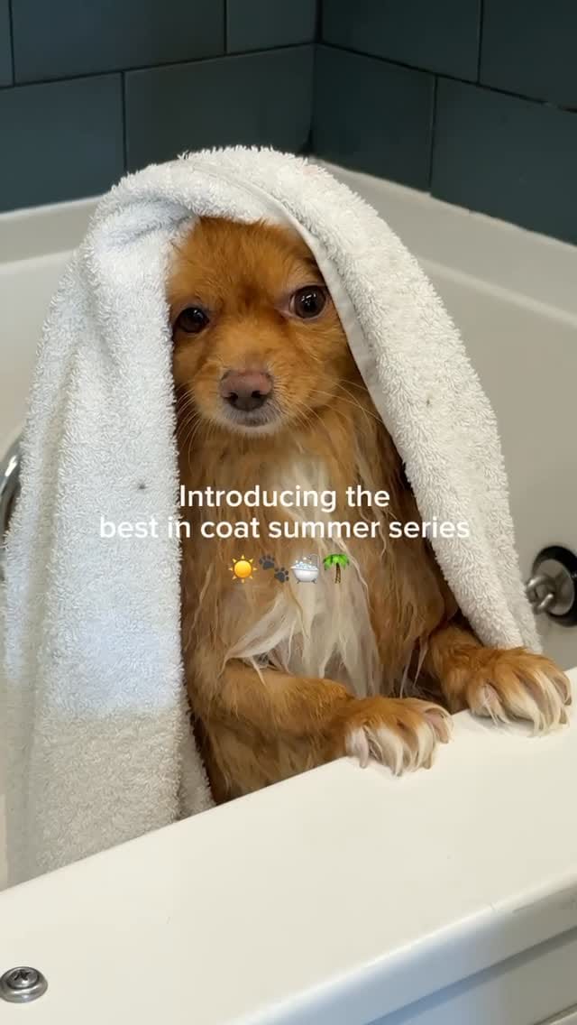Post 1 by Bowie Barker on Instagram (video)