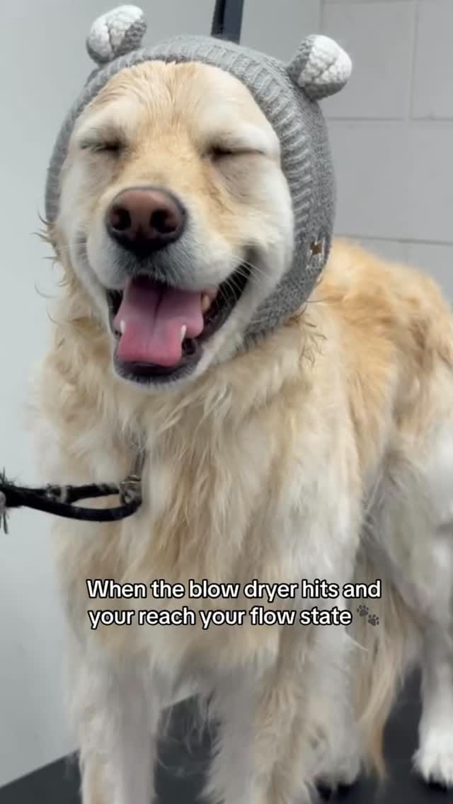 Post 6 by Bowie Barker on Instagram (video)
