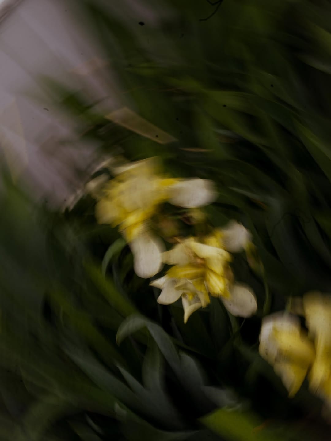 Post 4 by Raelyn + Earl | Iris Aisle on Instagram (carousel)