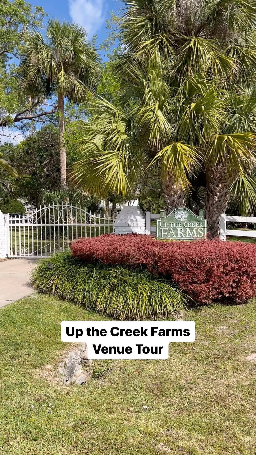 Post 10 by All-Inclusive Wedding Venue Florida on Instagram (video)