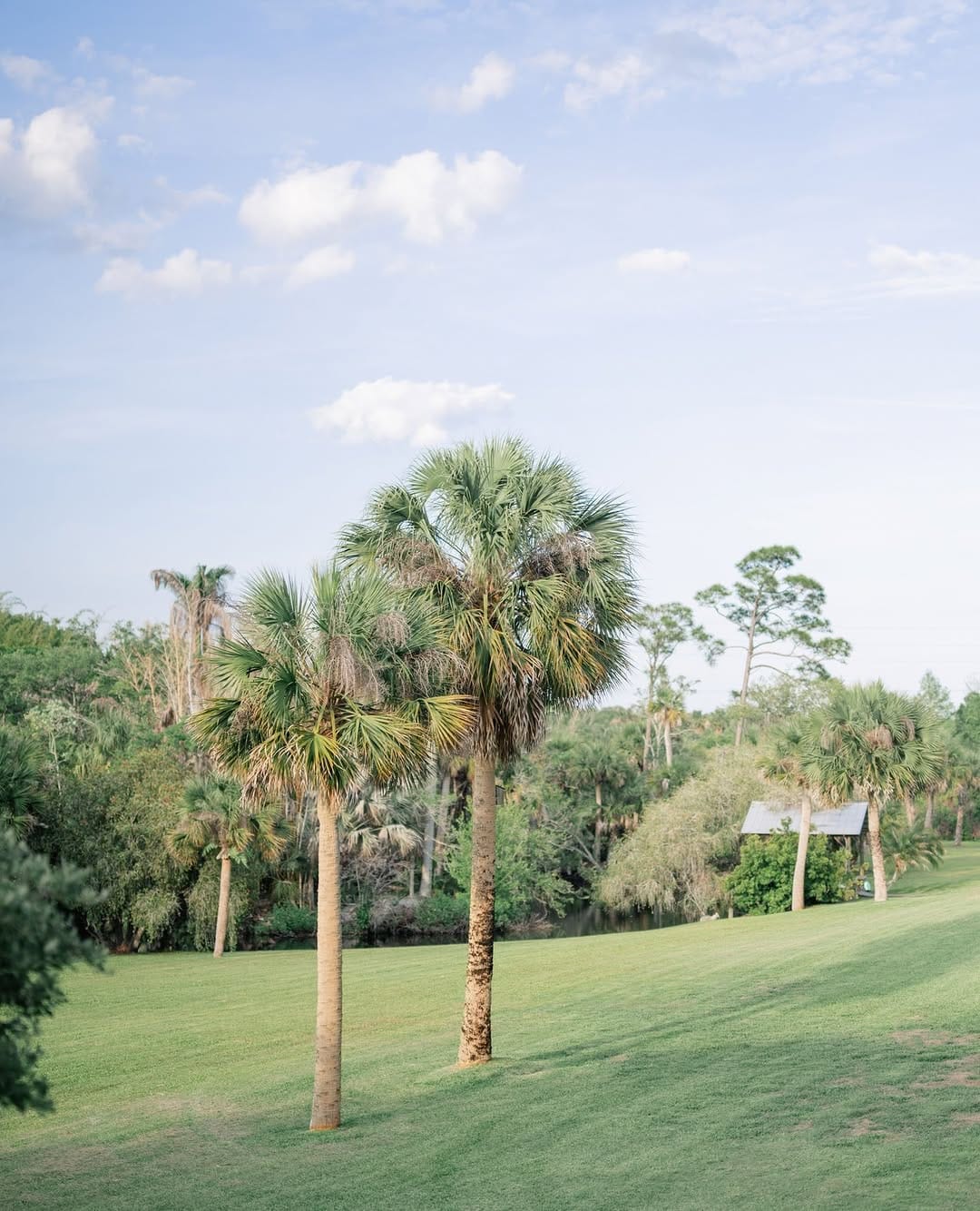 Post 1 by All-Inclusive Wedding Venue Florida on Instagram (image)
