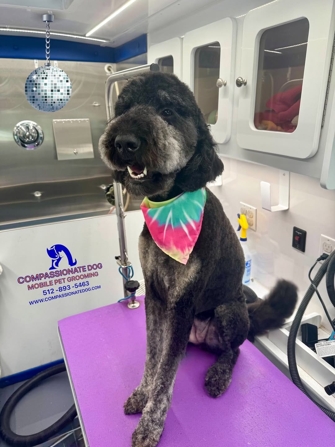 Post 6 by Compassionate Dog Mobile Pet Grooming on Instagram (image)