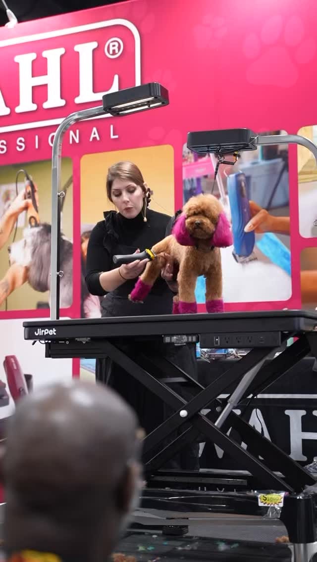 Post 8 by Rachel on Instagram (video)