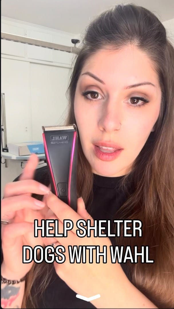 Post 4 by Rachel on Instagram (video)