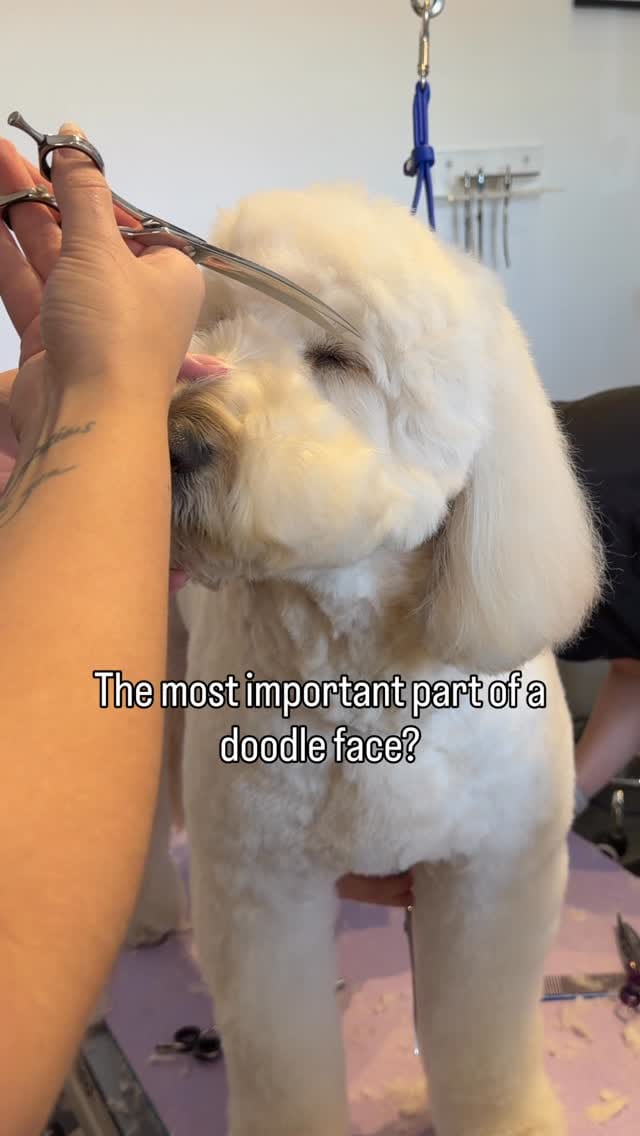 Post 9 by Rachel on Instagram (video)