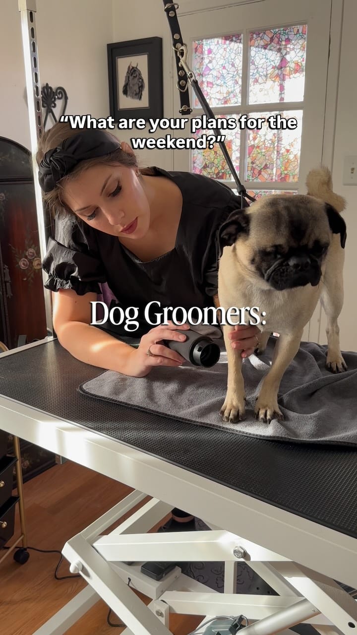 Post 3 by Rachel on Instagram (video)