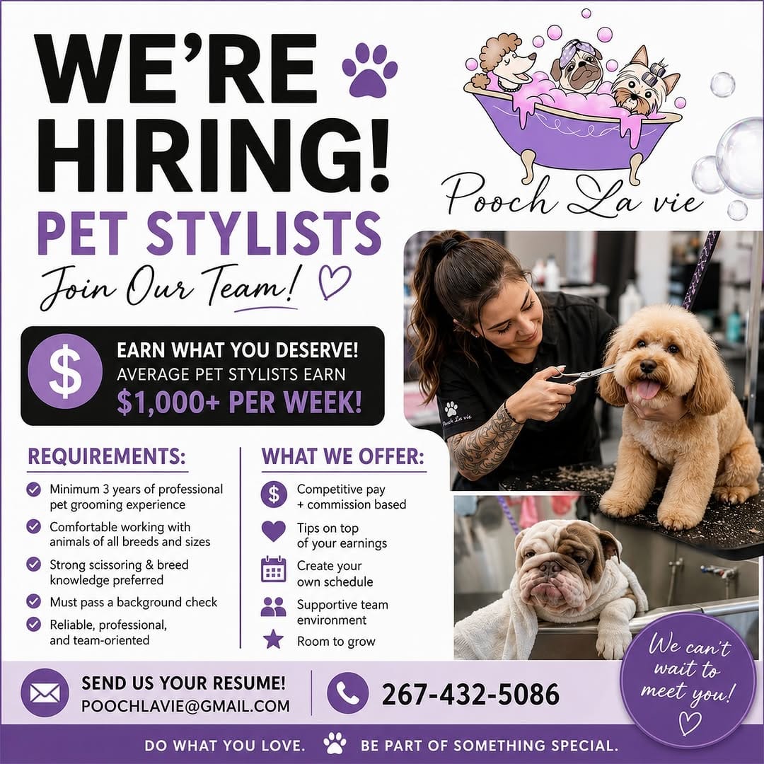 Post 8 by Pooch La Vie Dog Grooming on Instagram (image)