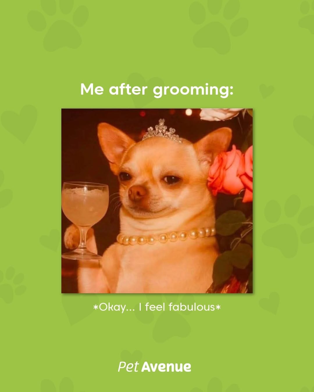 Post 7 by Pet Avenue Grooming & Boarding on Instagram (carousel)