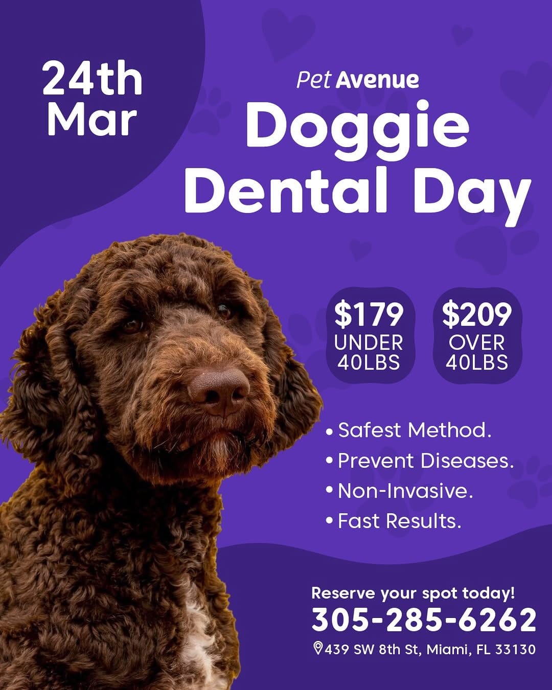 Post 4 by Pet Avenue Grooming & Boarding on Instagram (image)
