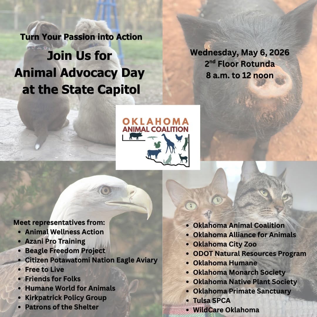 Post 8 by Wildcare Oklahoma on Instagram (image)