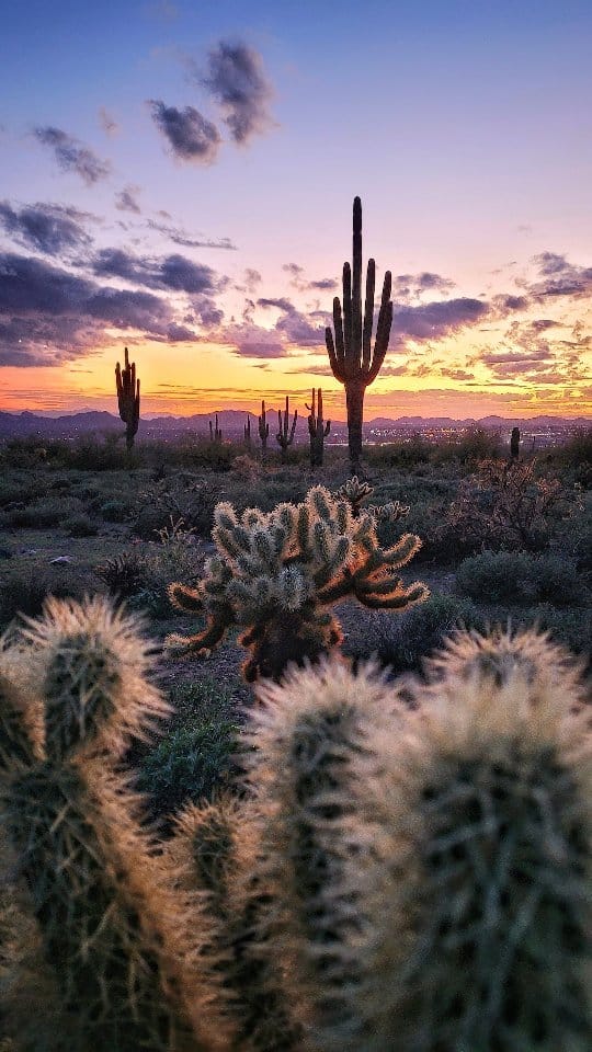 Post 9 by Claude 🌎 Travel + Outdoor Adventure Guide 🏕️ on Instagram (video)