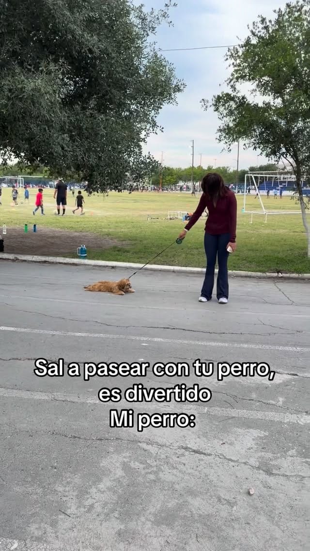 Post 5 by Giselle Vera 🪬 on Instagram (video)