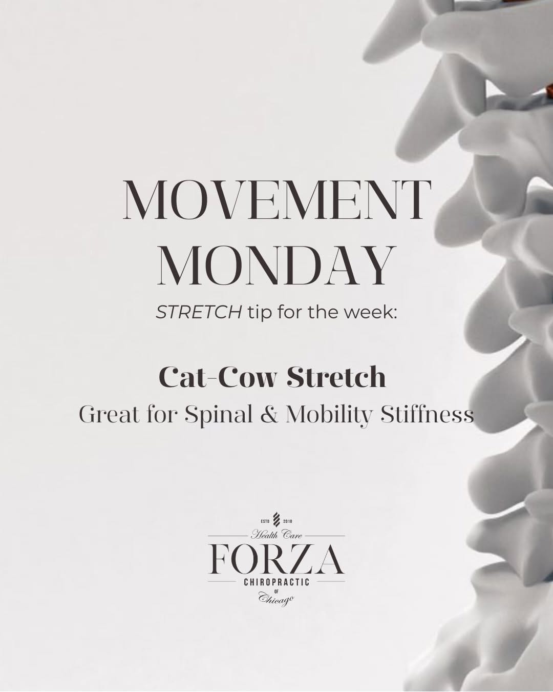 Post 4 by Forza Chiropractic on Instagram (carousel)