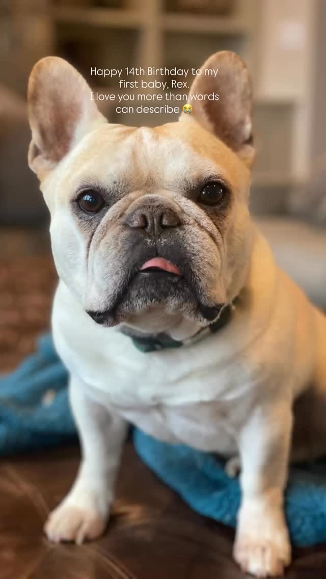 Post 5 by Elizabeth Chance, MD on Instagram (video)