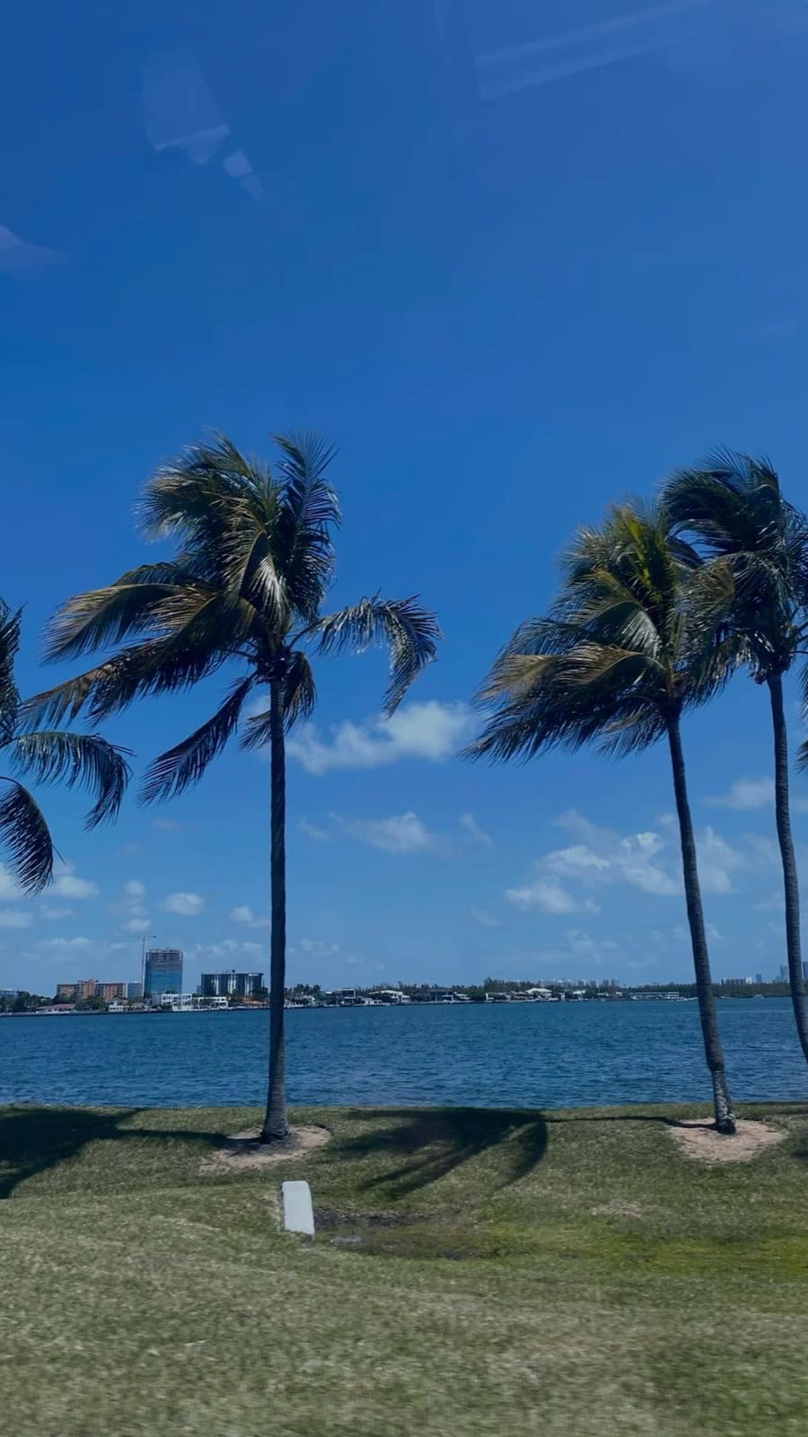 Post 3 by South Florida Multispecialty Medical Group on Instagram (video)
