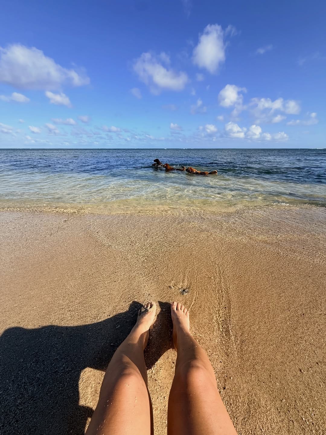 Post 6 by DR.JODI | HAWAII’S MEDICAL KETO & CARNIVORE CLINIC on Instagram (carousel)
