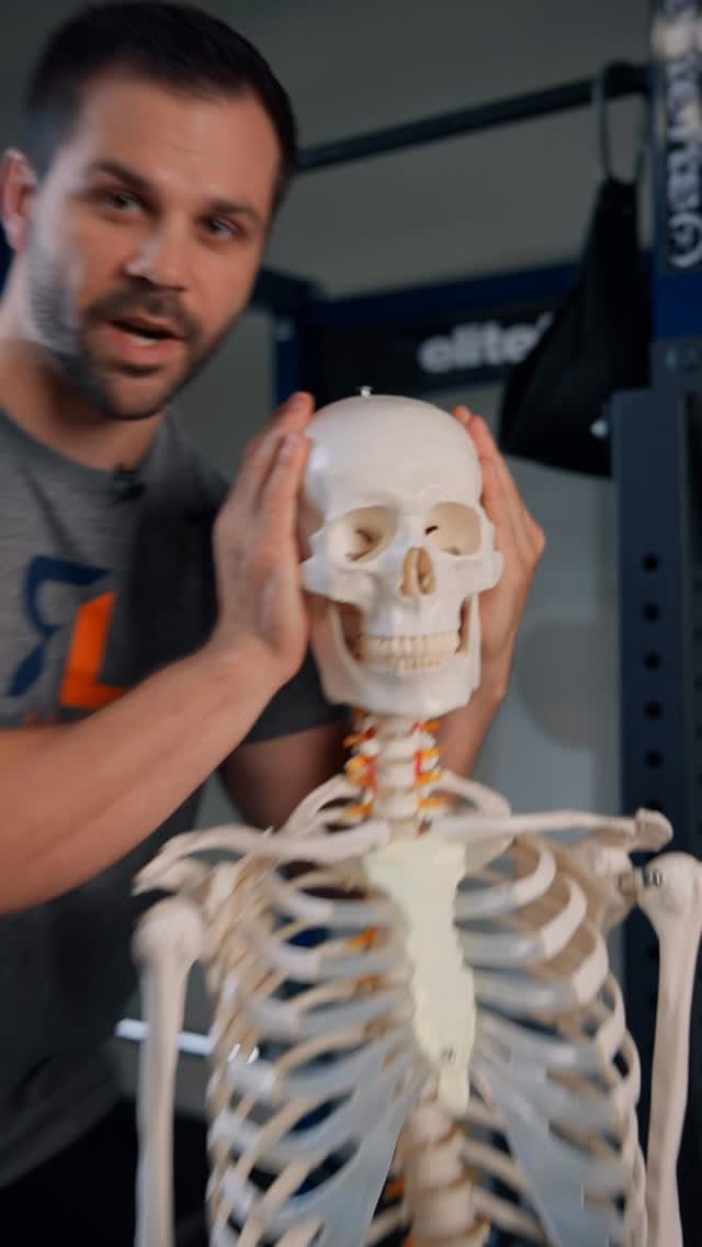 Post 8 by Rehab Lab on Instagram (video)