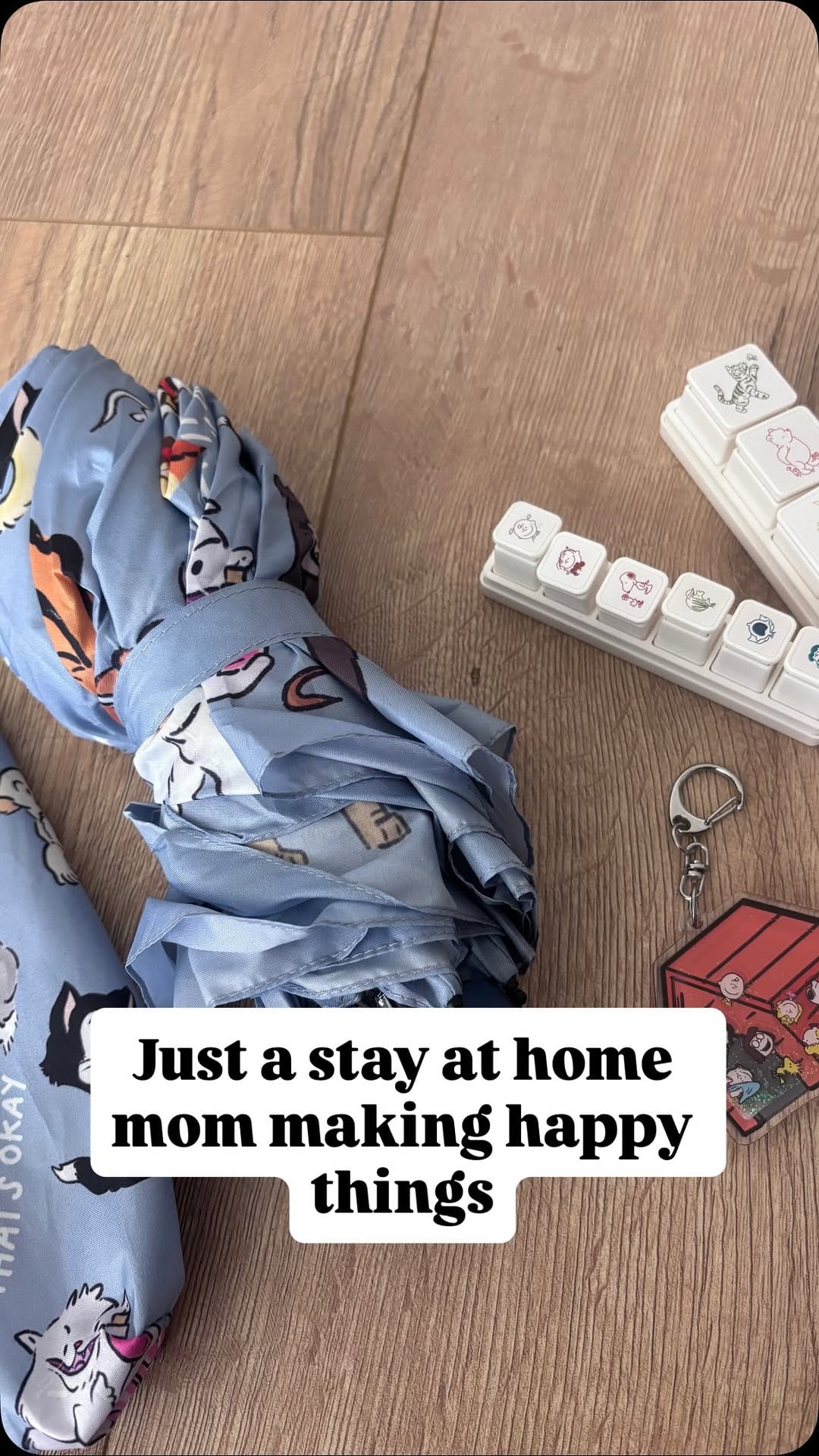 Post 6 by Joanne Shi on Instagram (video)