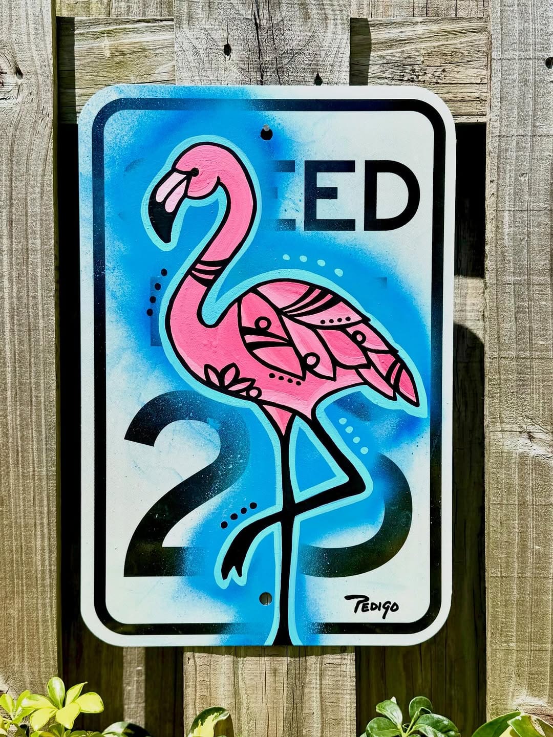 Post 7 by Jonathan Pedigo on Instagram (image)