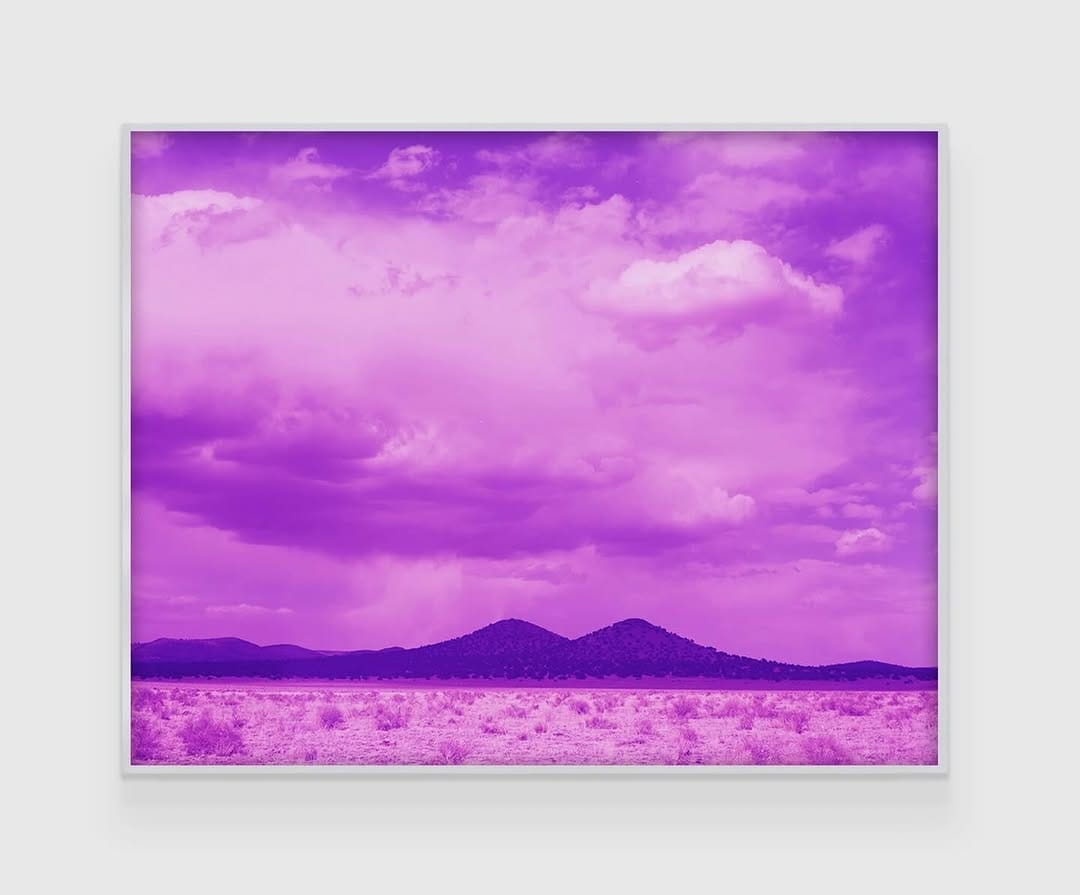 Post 5 by David Benjamin Sherry on Instagram (image)