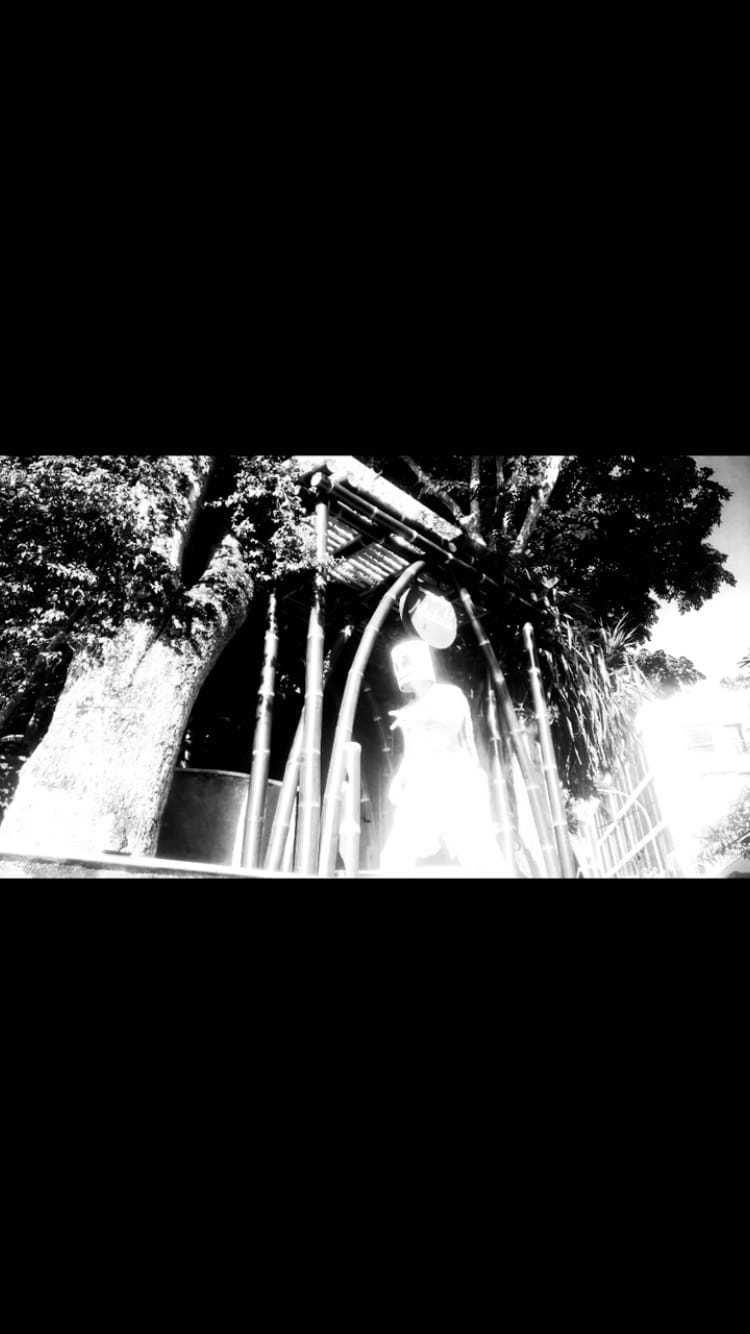 Post 5 by David Solomon on Instagram (video)