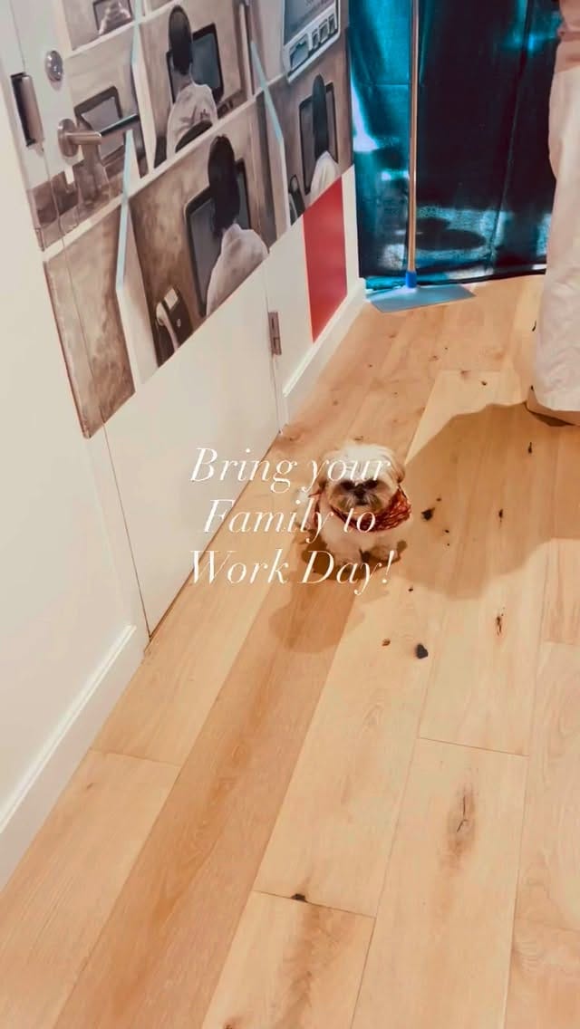 Post 2 by Nicolette Capuano on Instagram (video)