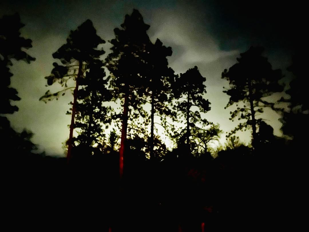 Post 7 by Green Jellÿ on Instagram (image)