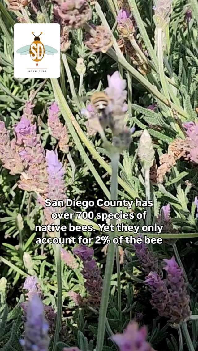 Post 5 by Meg Knobel on Instagram (video)