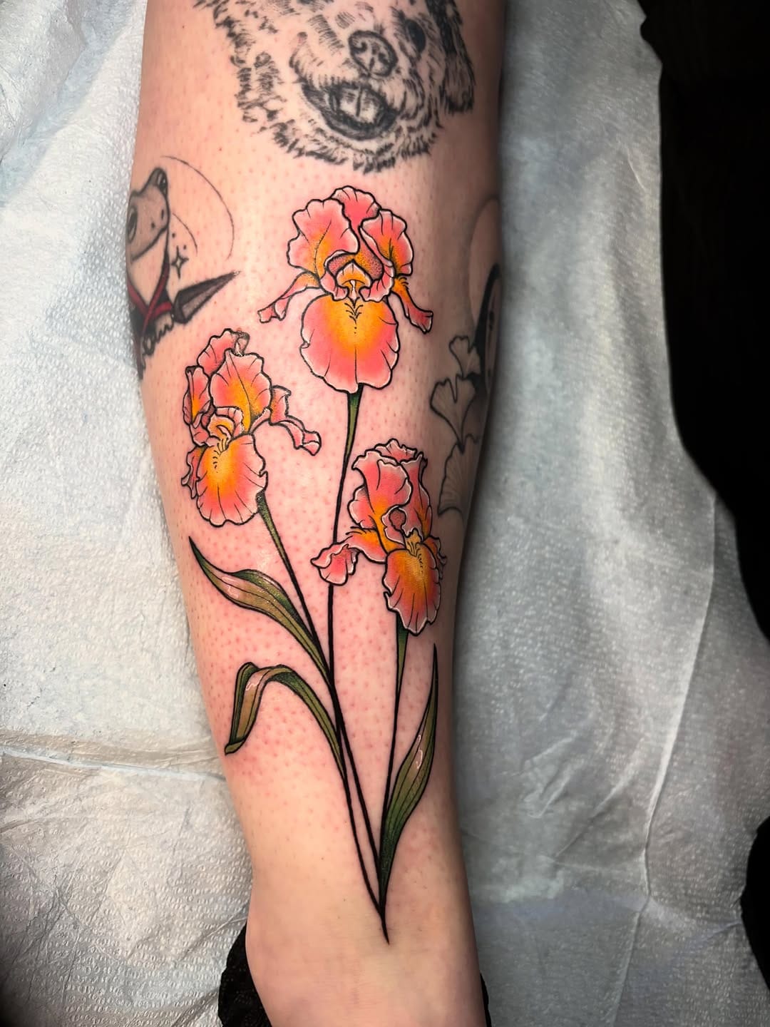 Post 6 by Wren Hollow on Instagram (carousel)