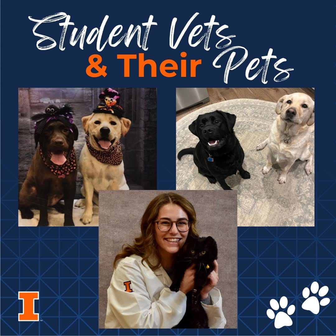 Post 2 by College of Vet Med at Illinois on Instagram (image)