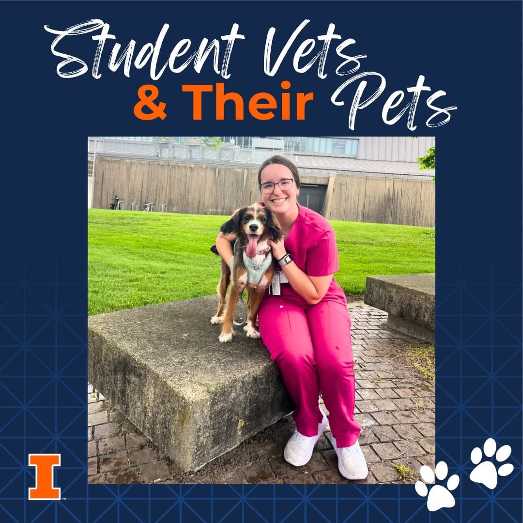 Post 6 by College of Vet Med at Illinois on Instagram (image)