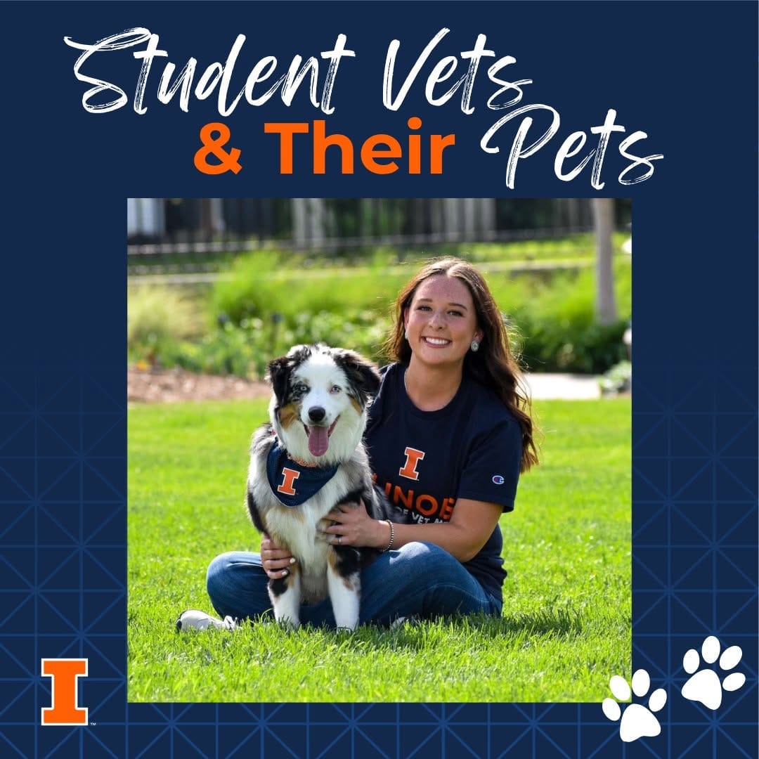 Post 9 by College of Vet Med at Illinois on Instagram (image)