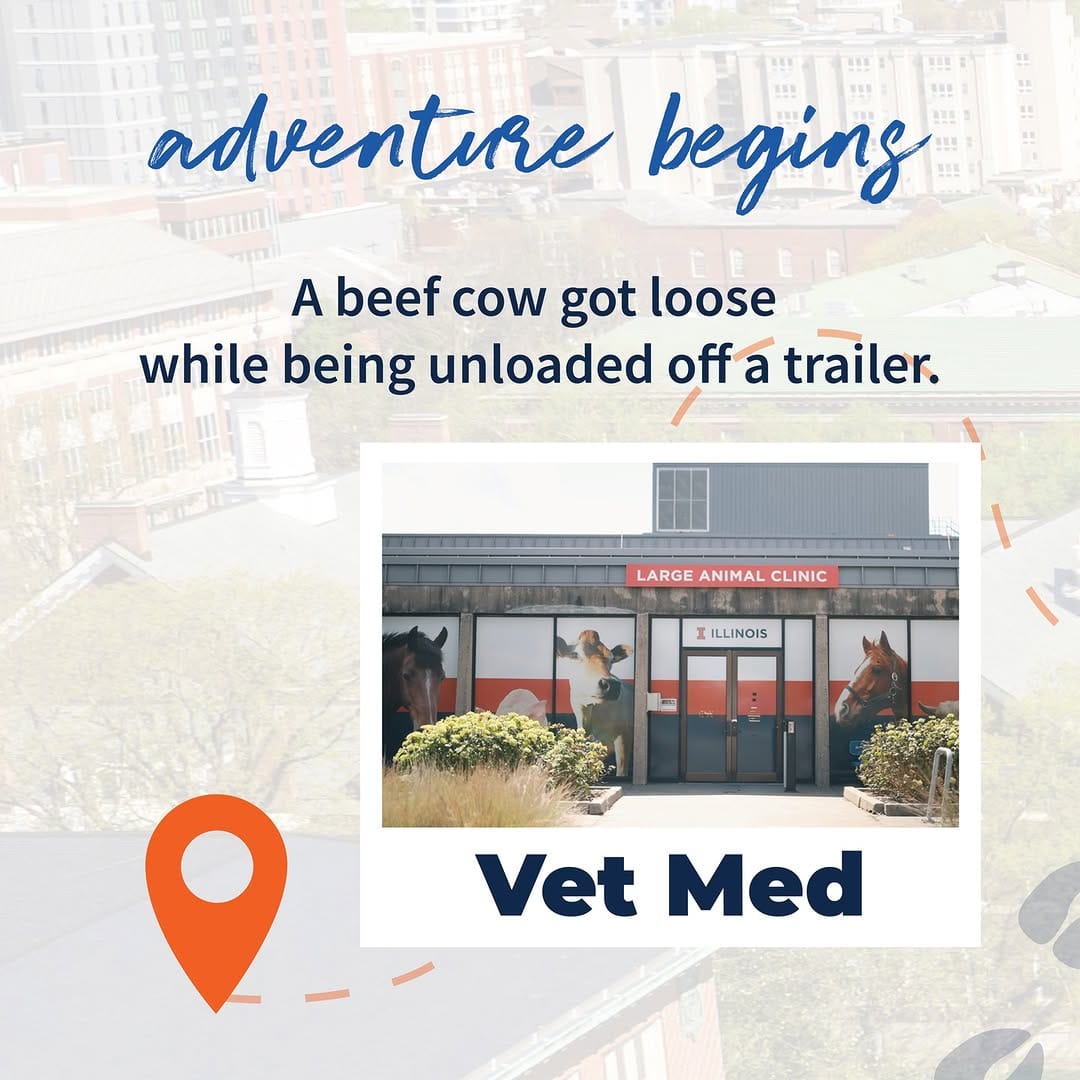 Post 10 by College of Vet Med at Illinois on Instagram (carousel)