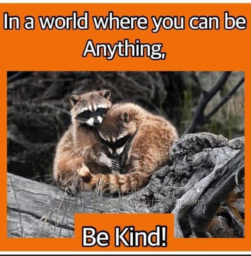 Post 1 by Evelyn's Wildlife Refuge on Instagram (image)