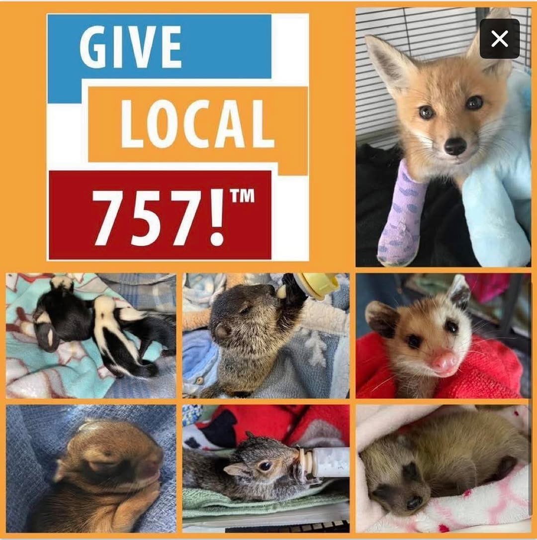 Post 9 by Evelyn's Wildlife Refuge on Instagram (image)
