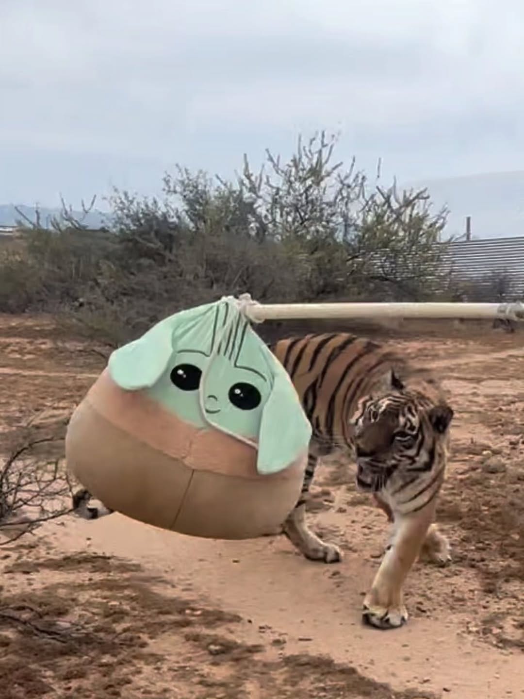Post 10 by Out of Africa Wildlife Park & Sanctuary on Instagram (carousel)