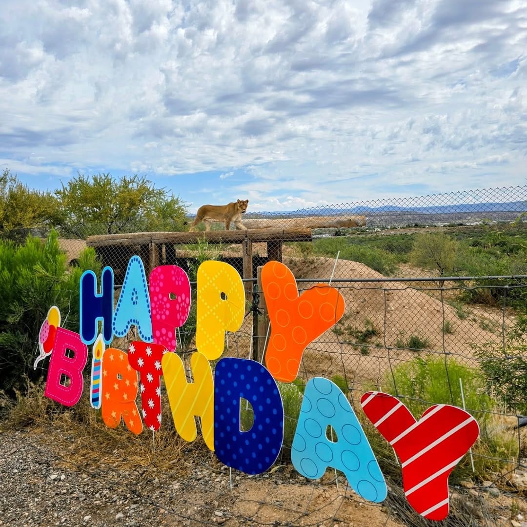Post 7 by Out of Africa Wildlife Park & Sanctuary on Instagram (carousel)
