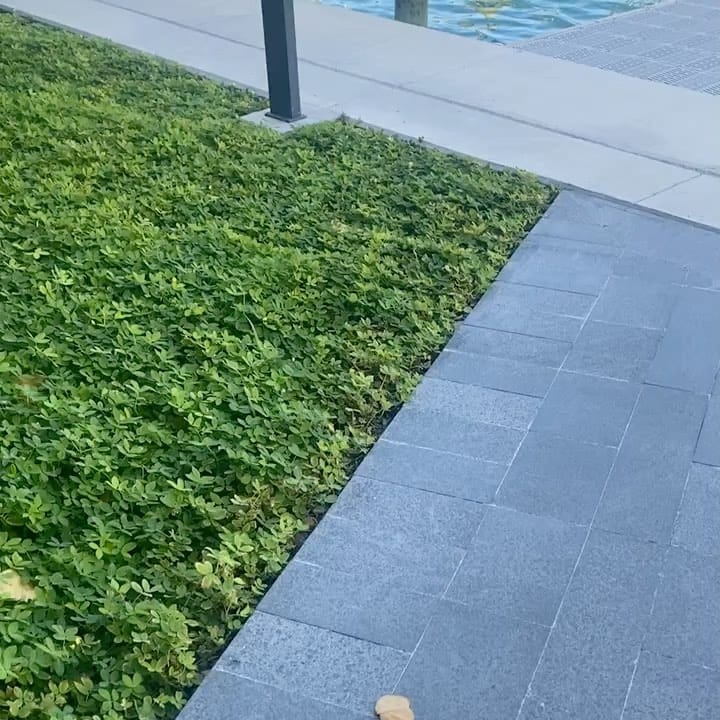 Post 6 by George M. Moskos on Instagram (video)