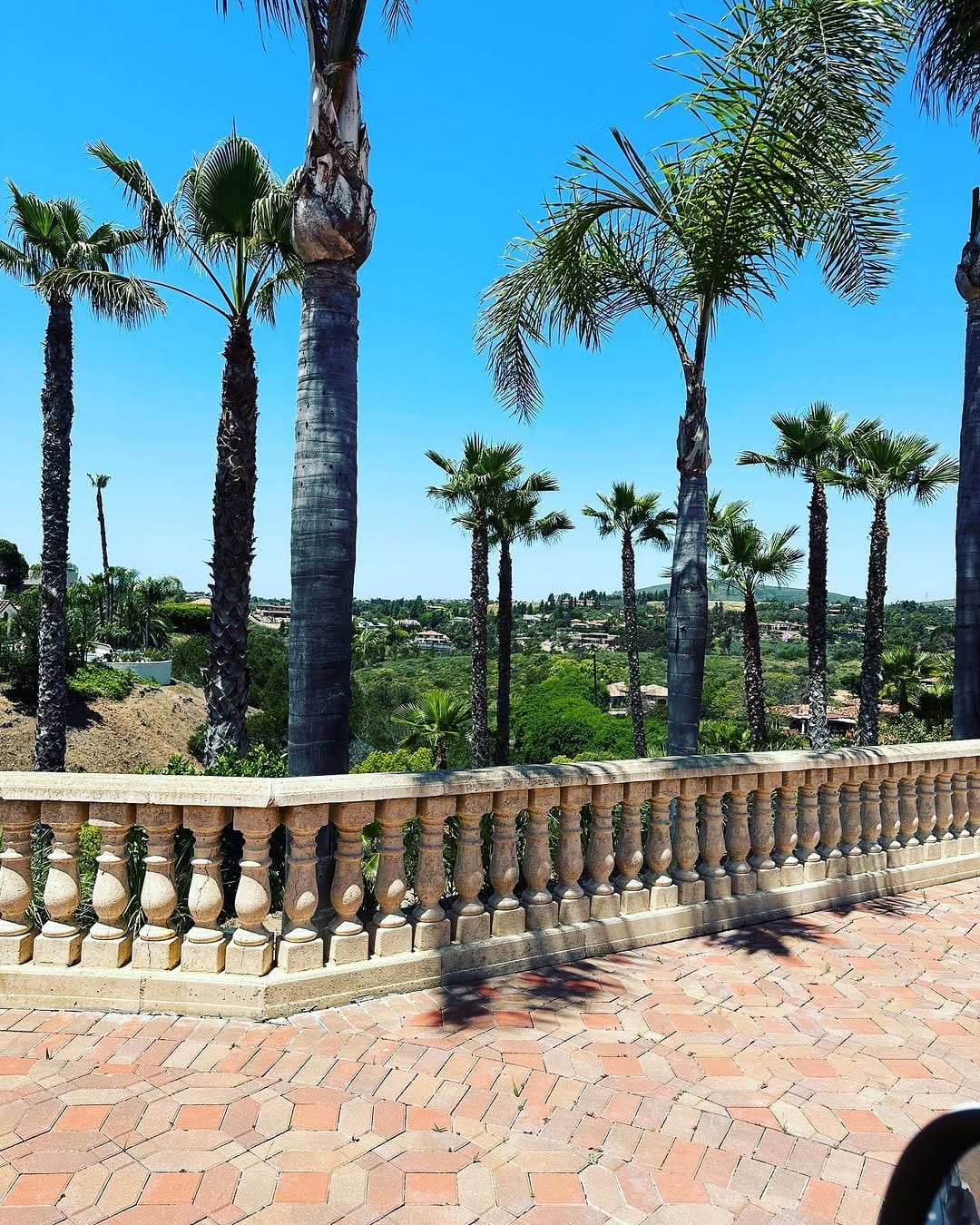 Post 3 by Olena Shandar, Rancho Santa Fe, California on Instagram (image)