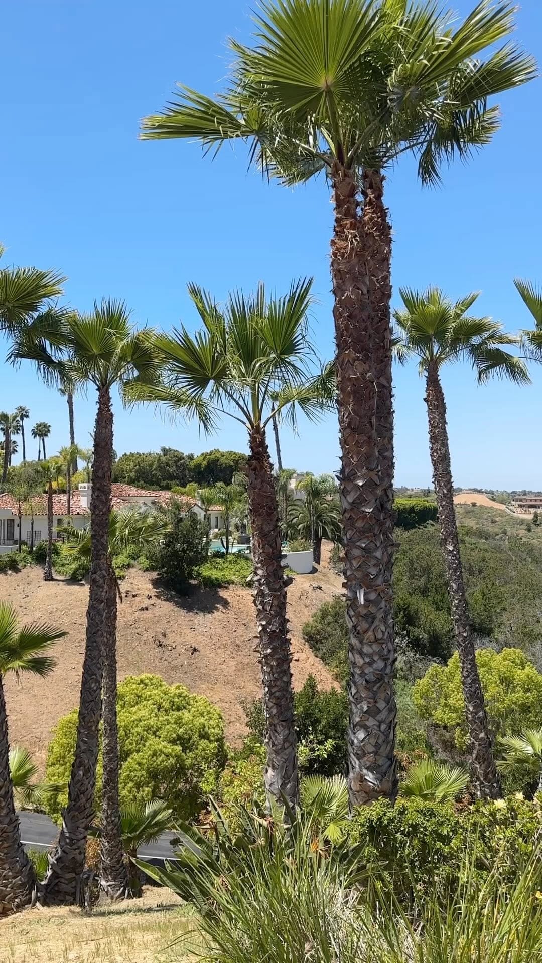 Post 2 by Olena Shandar, Rancho Santa Fe, California on Instagram (video)
