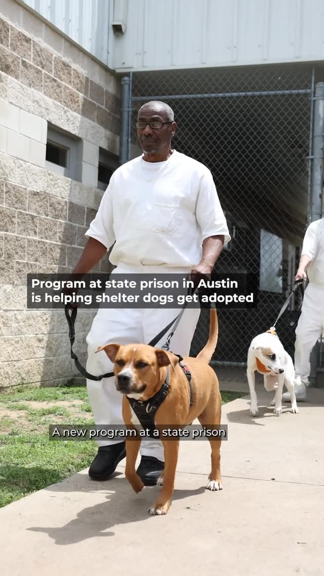 Post 7 by KUT News on Instagram (video)