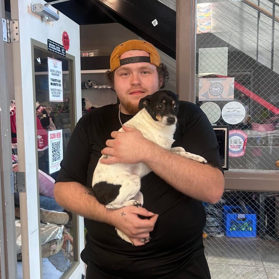 Post 6 by Humane Society, TN Valley on Instagram (image)